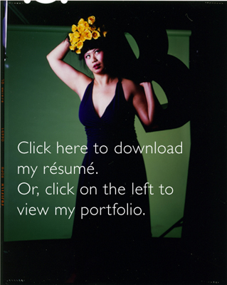 click here to download my r&eacute;sum&eacute;.